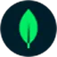 MongoDB